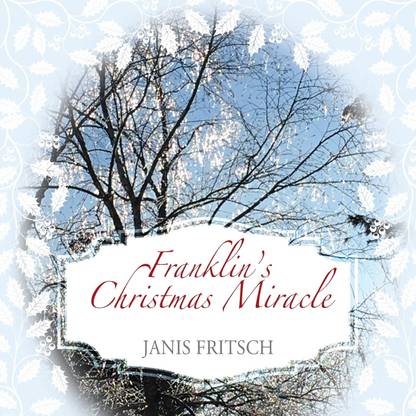 Franklin's Christmas Miracle