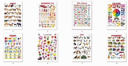anshul internet point 8 LAMINATED A4 SHEETS (ANIMAL,NUMBERS 1-10,HINDI VERNMALA,COLOURS,SHAPES 2D AND 3D ,FLOWERS,BIRDS,TRANSPORT) Pocket Chart