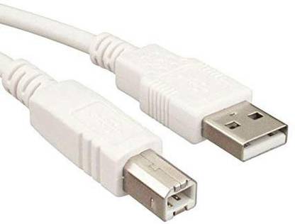 Sea Shell Reversible USB 2.0 3 m Printer cable 3M