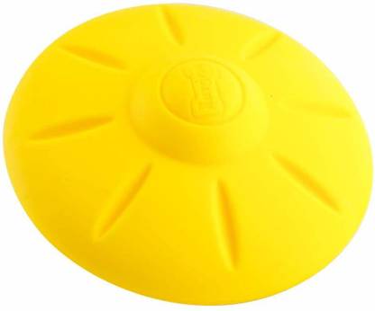 Foodie Puppies Squeaky Dog Toy, Water Fetch Toy, Floating Swimming Toy for Interactive Fetch & Play for Puppies & Dogs (Squeaky Flyer Frisbee, Large) Rubber Chew Toy, Fetch Toy For Dog