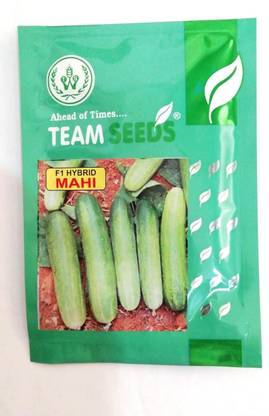 TEAM Seeds Seed