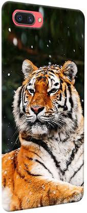 iShoppe Back Cover for Oppo A3s