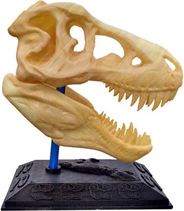 उनीके शेप T Rex Skull: Dinosaur, realistic look high detailed Tyrannosaurus, easy separate and attach Jurassic toy cum showpiece