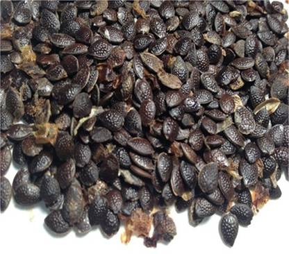 MGBN PASSION FRUIT/PASSIFLORA SEED - 2 GM (50 SEEDS) Seed