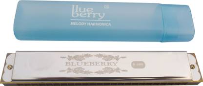BLUEBERRY H-2401 24 Holes Key C Mouth Organ | 48 Tone | With Case For Professional, Beginners, Student Harmonica