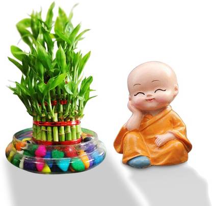 Lucky Leafy Three Layer Bamboo Plant