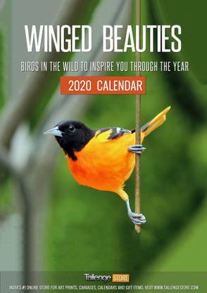 Tallenge Winged Beauty Wall calendar 2020 Bird 2020-2021 Wall Calendar