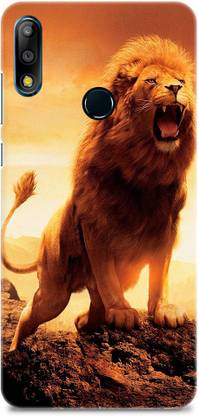 Wrixty Back Cover for Asus Zenfone Max Pro M2