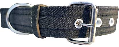Peto lovers Dog Everyday Collar