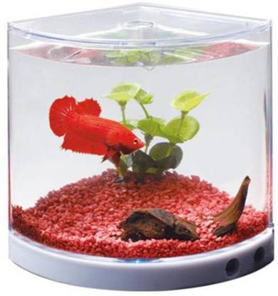 Dophin T101 Corner Pentagon Aquarium Tank