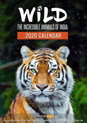 Tallenge Wild Wall Calendar 2020 2020-2021 Wall Calendar