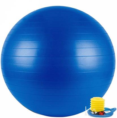 Leosportz Anti Burst (75cm) Aerobic Yoga Gym Ball Gym Ball
