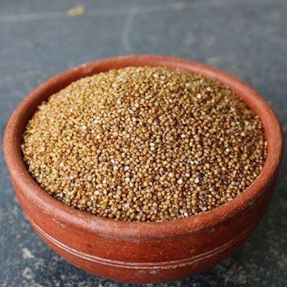 varsha traders Organic Natural Seeds / Kodo Millet Seed / Kodon / Kodra / Arika / Arikelu / Varagu / Harka / Kodua / Proso Millet Seeds - 1Kg Seed