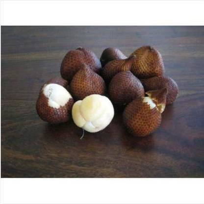 M-Tech Gardens Rare Snake fruit Salak Seed
