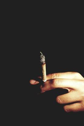 Hs Creation's Funny Posters For Weed Lovers Poster Size (18" x 12" x 0.1"). Paper Print