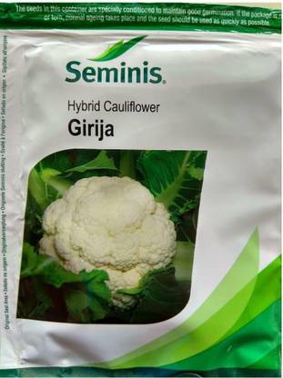 seminis cauliflower Seed