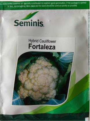 seminis cauliflower Seed