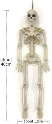 Prithwi Traders Scary Skeleton Toy