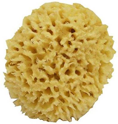 Newven Sea wool bath sponge for natural healthy bathing dishes loofah sponges