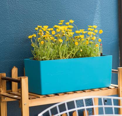 Studio Garden Plant Container Set