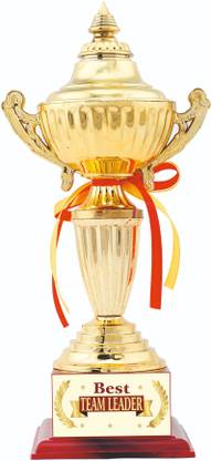 AARK INDIA Team Leader Birthday/Anniversary/Corporate Function Gift:Award (PC001068) Trophy