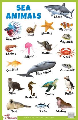 Sea Animals Educational Chart