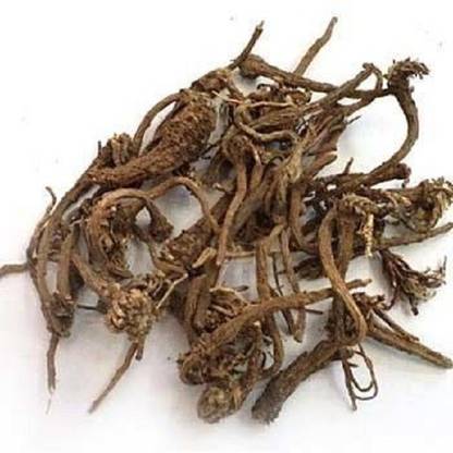 VINARGHYA Akkalkada Jad / Anacyclus Pyrethrum Root / Akkalkara / Akallaka / Kulekhara / Akarakara / Akkalkaro / Akkalgaro / Akkallakara / Akikaruka / Akravu / Aquaraqarha Seed