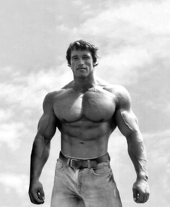 Arnold Schwarzenegger muscles Poster Paper Print Wall Poster Without Frame. Paper Print