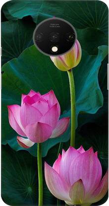 Crockroz Back Cover for OnePlus 7T/One Plus 7T