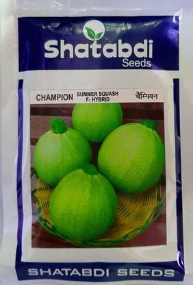 SHATABDI SEEDS PVT LTD SUMMER SQUASH F1 Seed