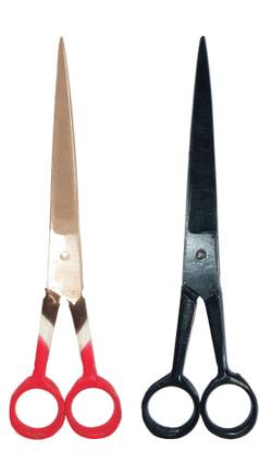 ALB I SCISSOR 2 PICS Scissors