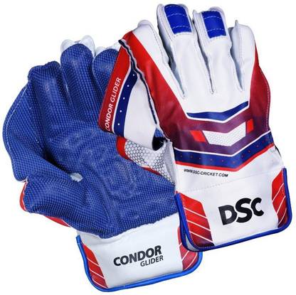 DSC Condor Glider Wicket Keeping Gloves