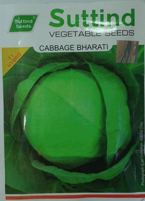 suttind seeds pvt ltd CABBAGE SEED Seed