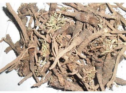 Nature Green AKARKARA, Anacyclus pyrethrum, spanish chamomile Seed