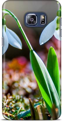 Bastex Back Cover for Samsung Galaxy S6 Edge Plus