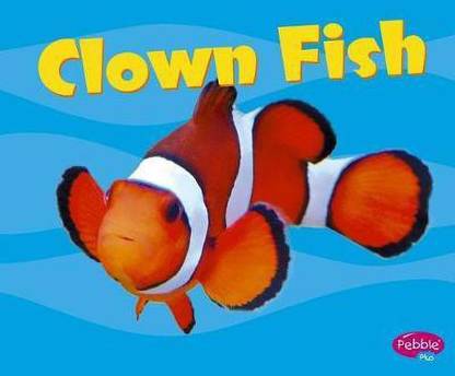 Under the Sea Clown Fish