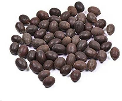 VINARGHYA Kamal Kakdi / Padma Phool / Loda/ Kamal Kand / Tavare Kand / Tamara Kizang / Kalu / Tamara Gadda / Kanwal Kakdi / Kamal Gatta – 100g