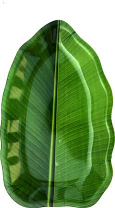 circlebits Banana Green Leaf shape plate Dinner Plate