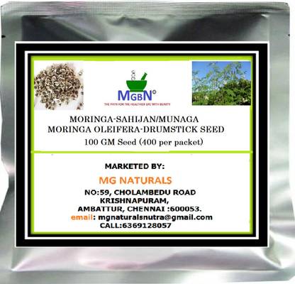 MGBN MORINGA-SAHIJAN/MUNAGA-MORINGA OLEIFERA-DRUMSTICK SEED-100 GM (400 SEEDS) Seed