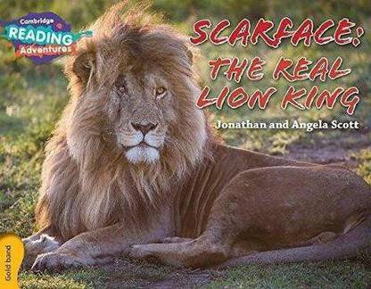 Cambridge Reading Adventures Scarface: The Real Lion King Gold Band