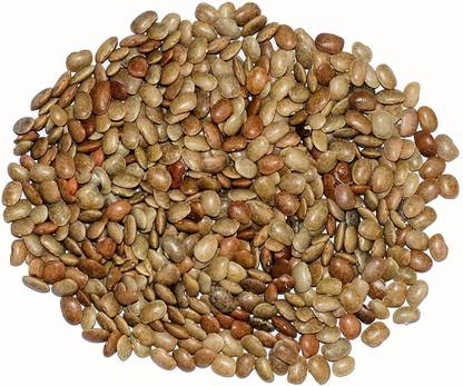 varsha traders VARSHA TRADERS Organic Horse Gram / Kulthi / Hulthi / Kollu / Hurule / Ulavalu / Kuleeth / Mudhira / Kolatha / Kurali / Madras Gram (Macrotyloma Uniflorum) Seeds for – 1Kg Seed