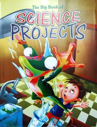 The Big Book of Science Projects Gr