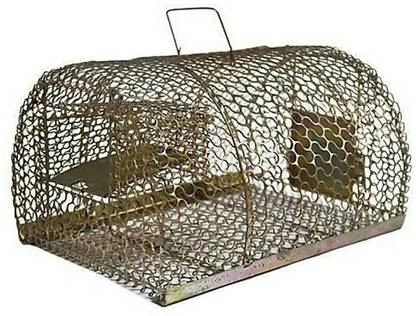 Gurman Gur RT03 Snap Trap