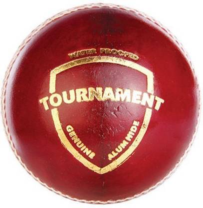 SG TOURNAMENT Cricket Leather Ball