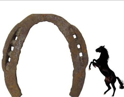 Zemaica Healthcare Horse Shoe Ring