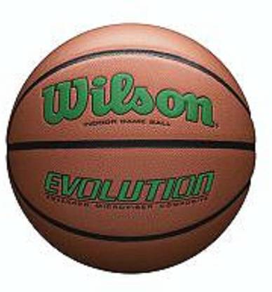 WILSON Evolution Size Game Basketball Basketball - Size: 7