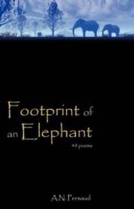 Footprint of an Elephant