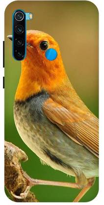 Zaplab Back Cover for Realme 5, Realme 5s, Realme 5i