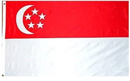 UNIQ Singapore Rectangle Table Miniature Flag