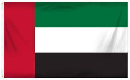 UNIQ UAE Rectangle Table Miniature Flag